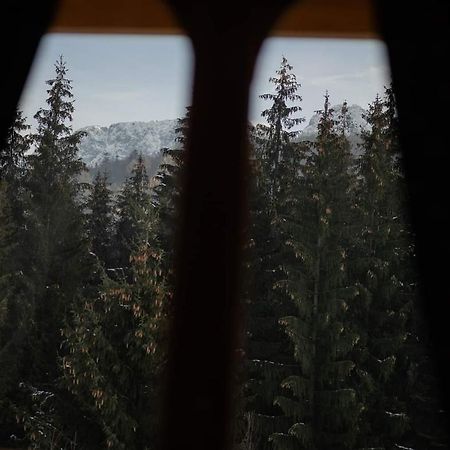 Chata Tatritis Kościelisko Exterior foto